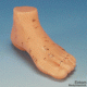 Akupunkturmodell Fuß, 1 Stück