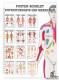Mini-Poster Booklet: Physiotherapie